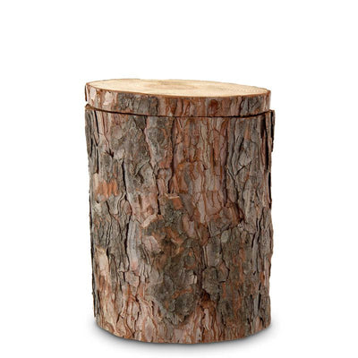 Baumstamm Kiefer