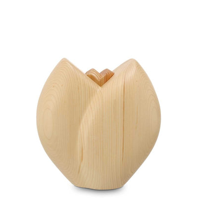 Knospe Weisstanne