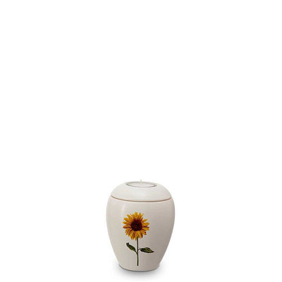 Barcelona Sonnenblume