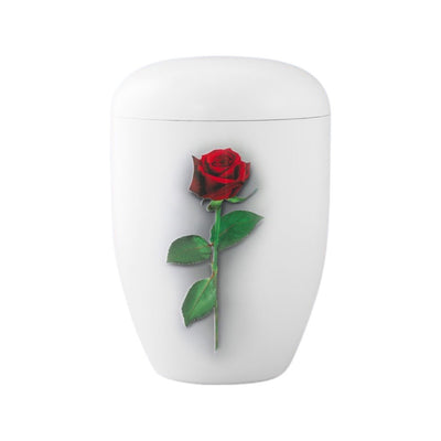 BIOURNE Blume