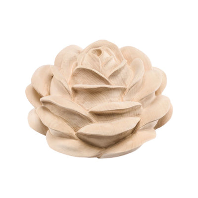 ROSE in Linde offene Blüte