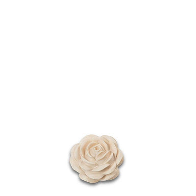 Rose Ahorn