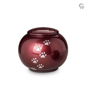 Glas Tierurne groß